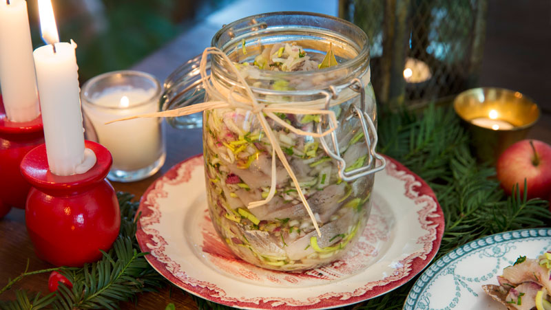 Löksill med rödlök recept