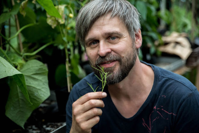 Bild: Farbror Grön